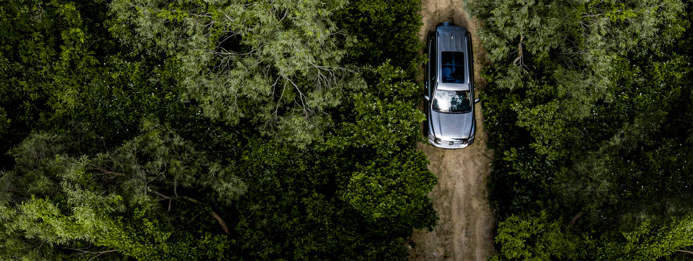 w88win优德(中国)官方网站