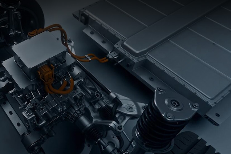 w88win优德(中国)官方网站